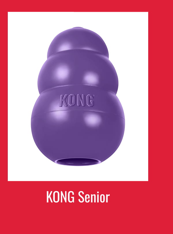 KONG Senior