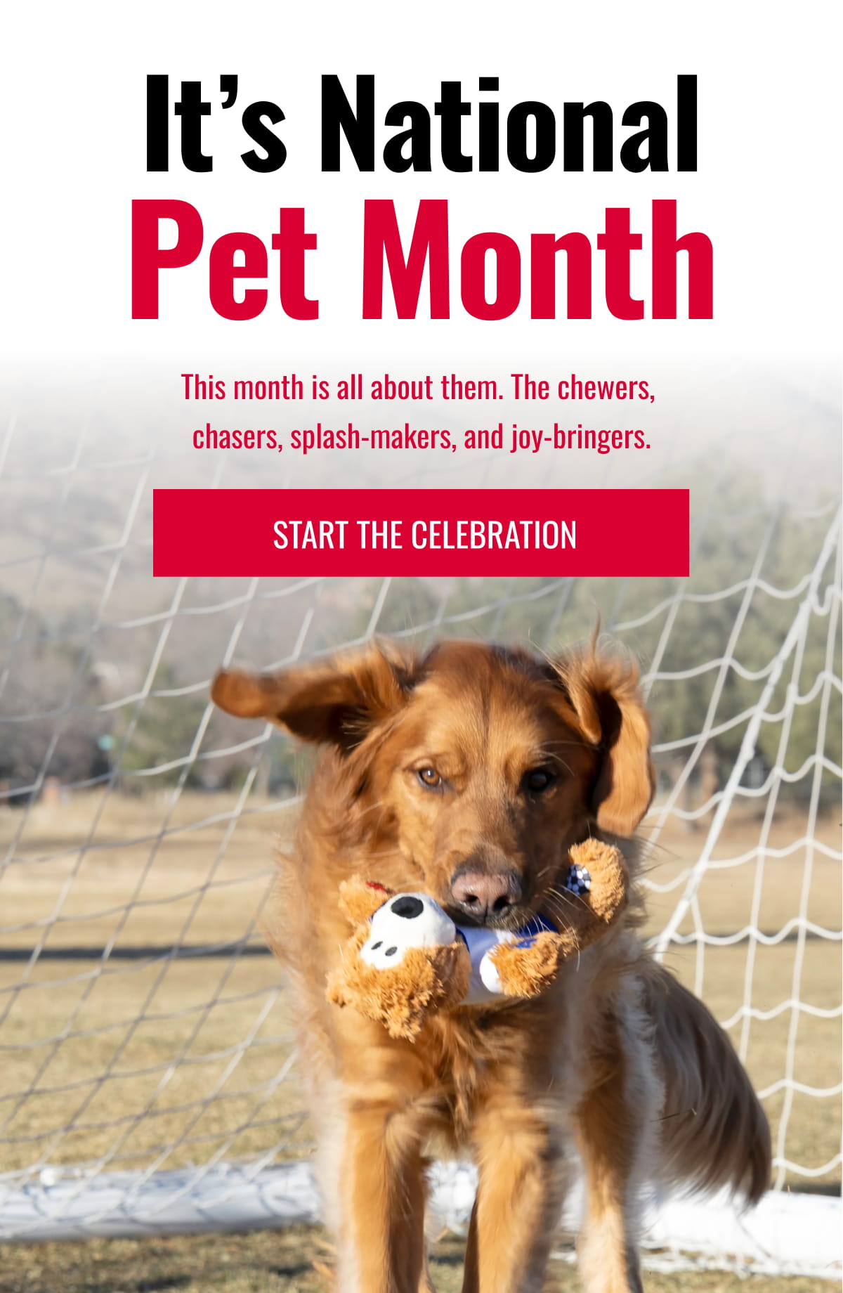 It’s National Pet Month