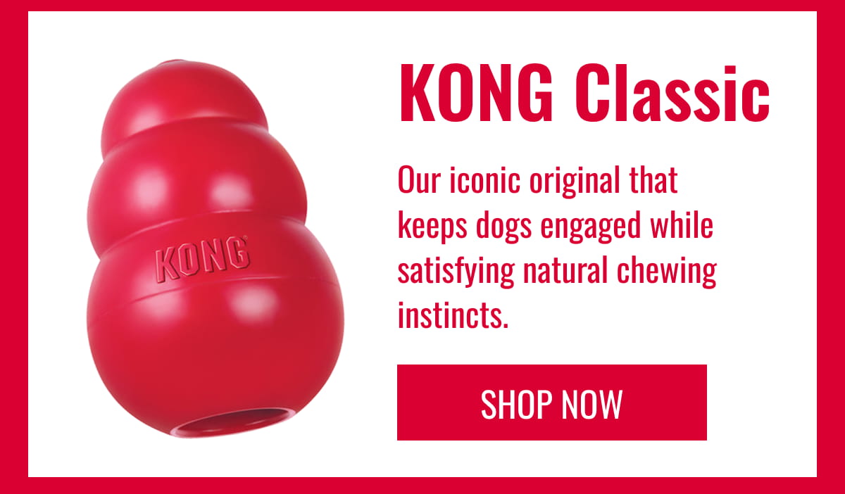 KONG Classic