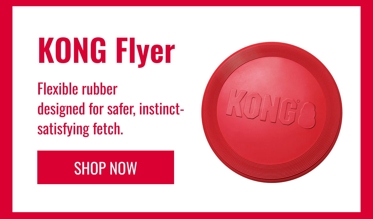 KONG Flyer