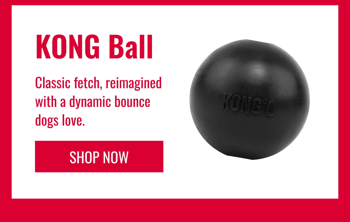KONG Ball