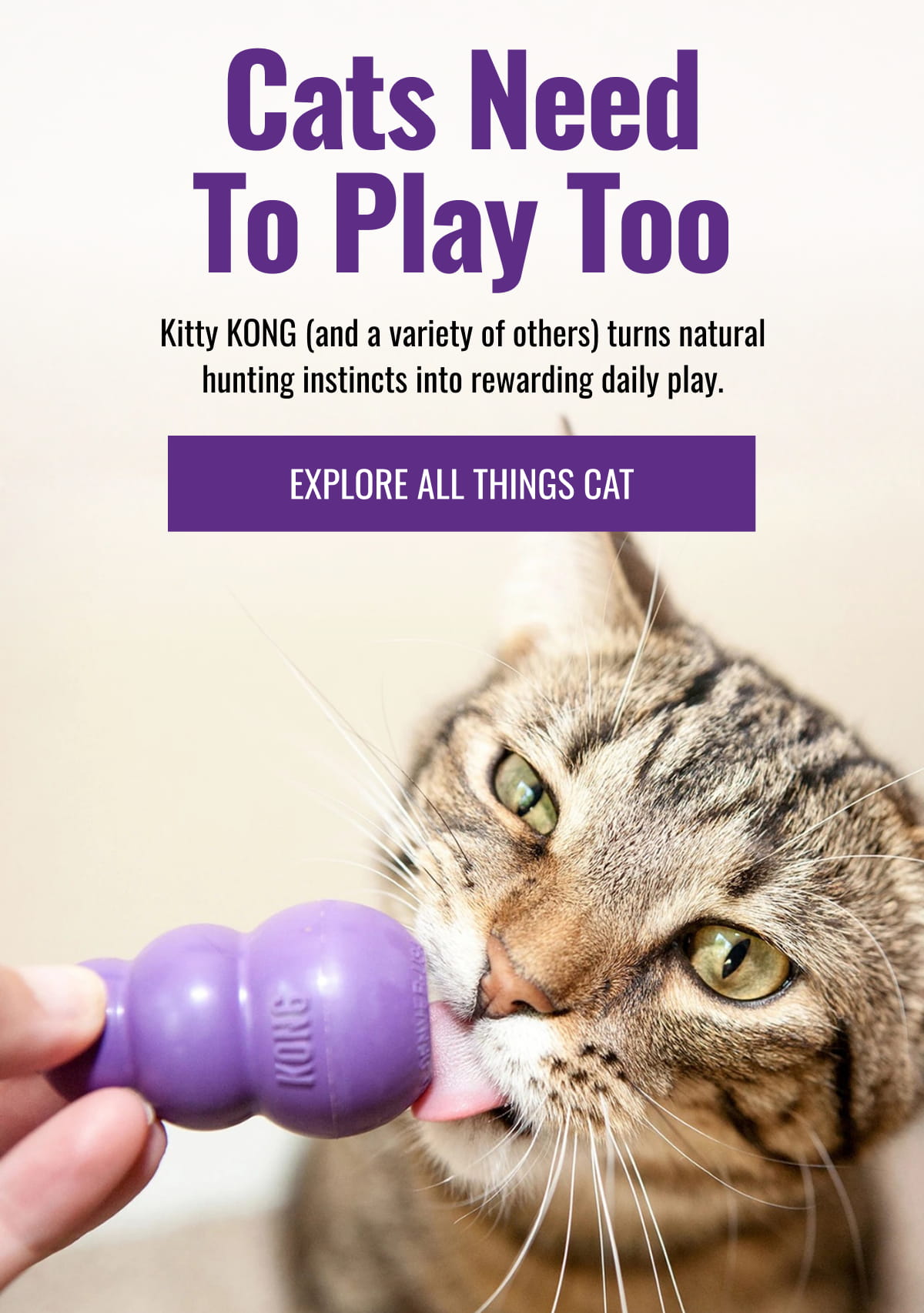 Cats Need to Play Too