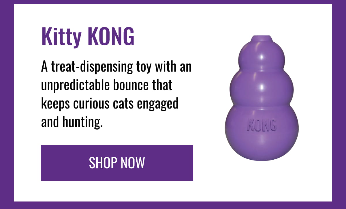 Kitty KONG
