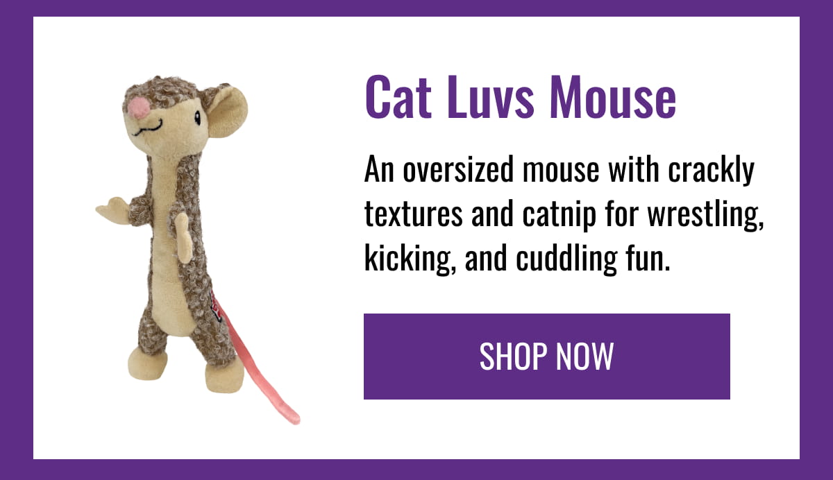 Cat Luvs Mouse