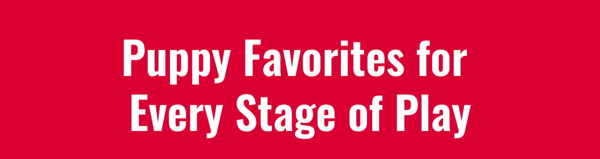 Puppy Favorites for Every Stage of Play