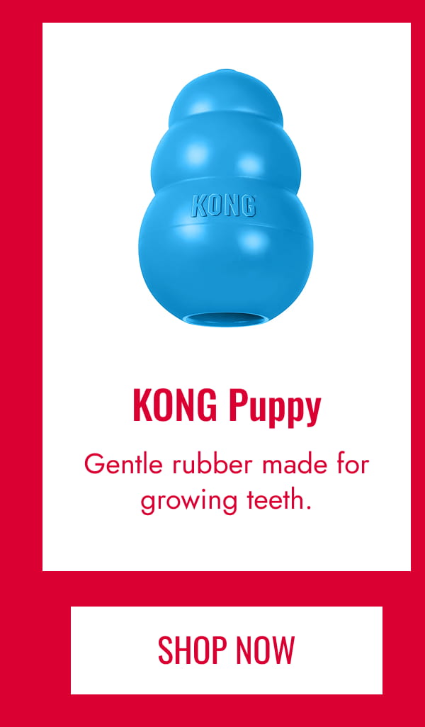 KONG Puppy