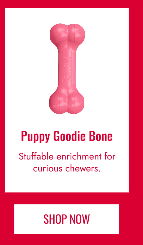 Puppy Goodie Bone