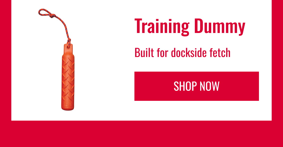 Training Dummy