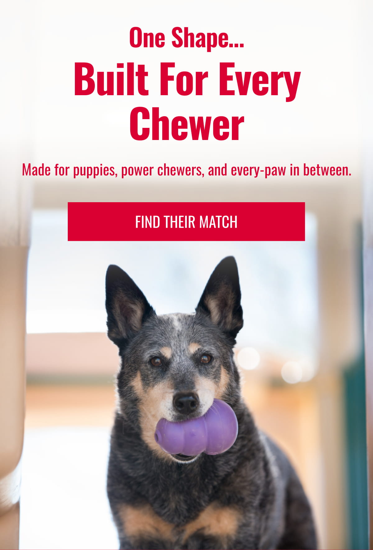 One Shape...Built For Every Chewer