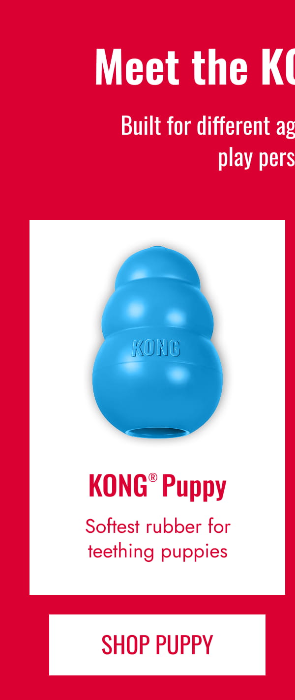 KONG Puppy