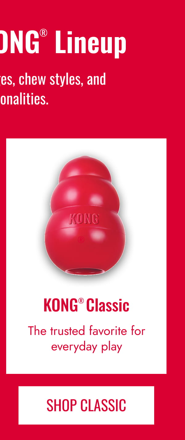 KONG Classic