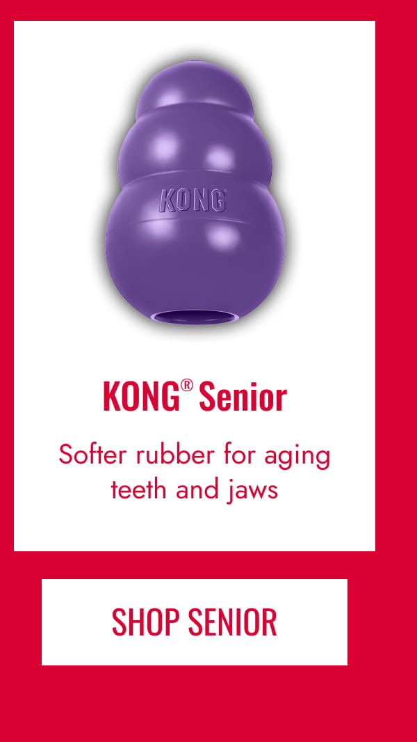 KONG Senior