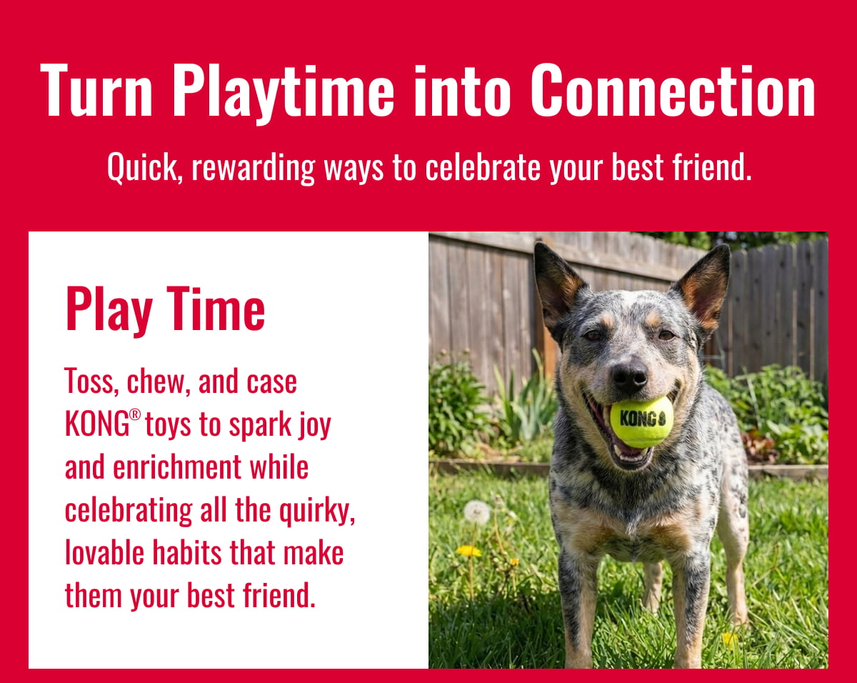 Play Time