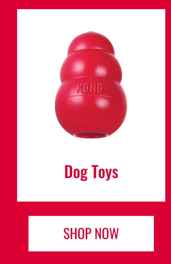 Dog Toys