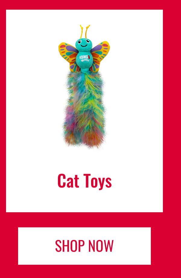 Cat Toys