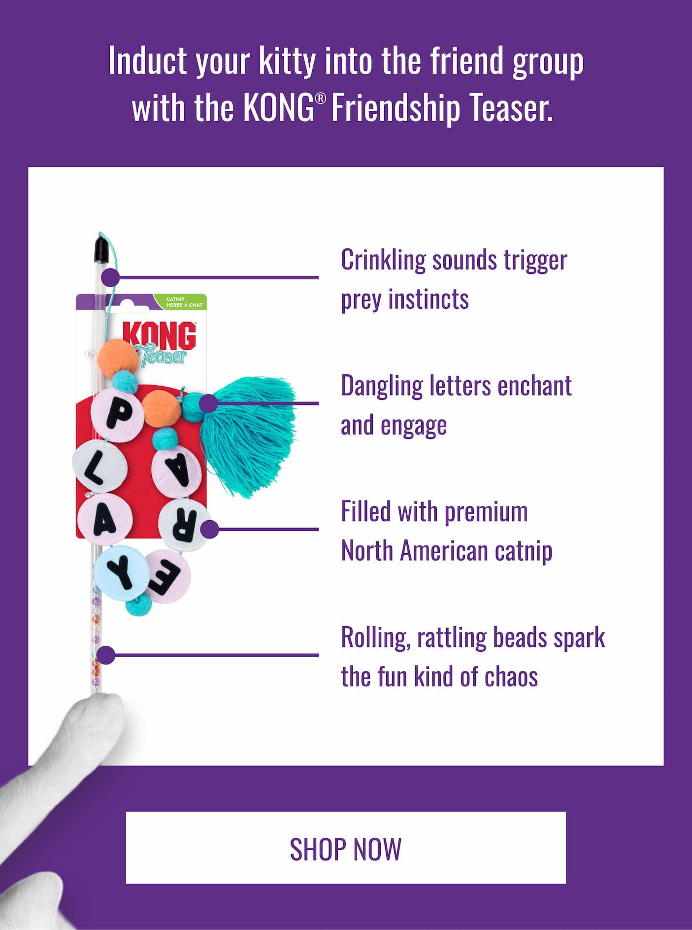 Induct Your Kitting into the friend group with the KONG Friendship Bracelet