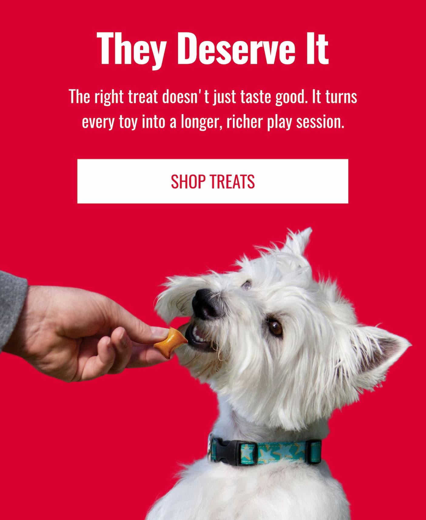 The Right treat turns every day toys into a longer, richer play session.