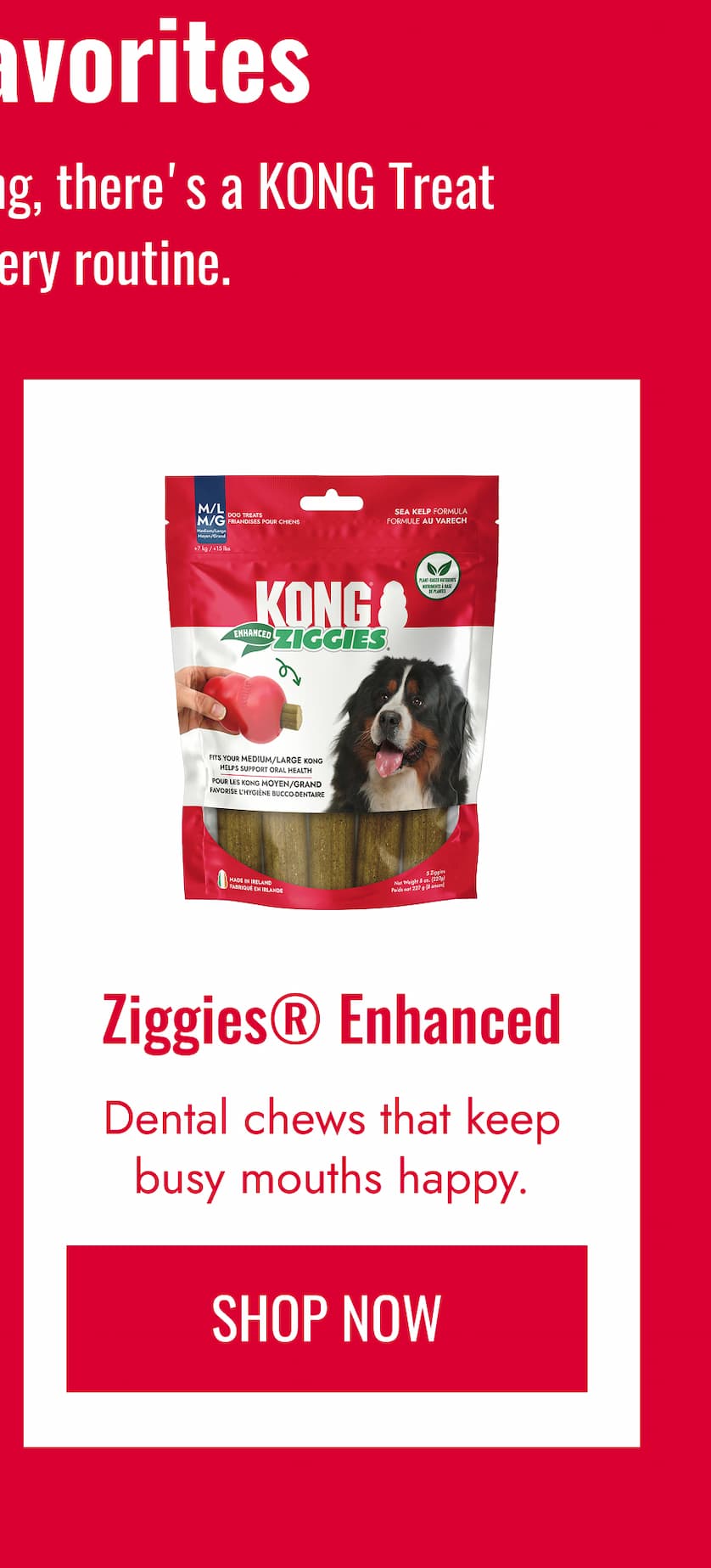 Shop Ziggies