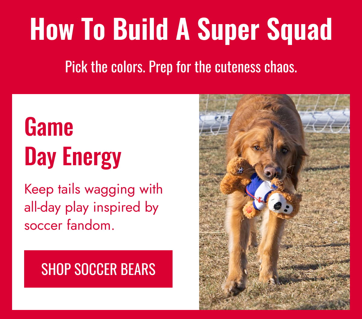 Game Day Energy