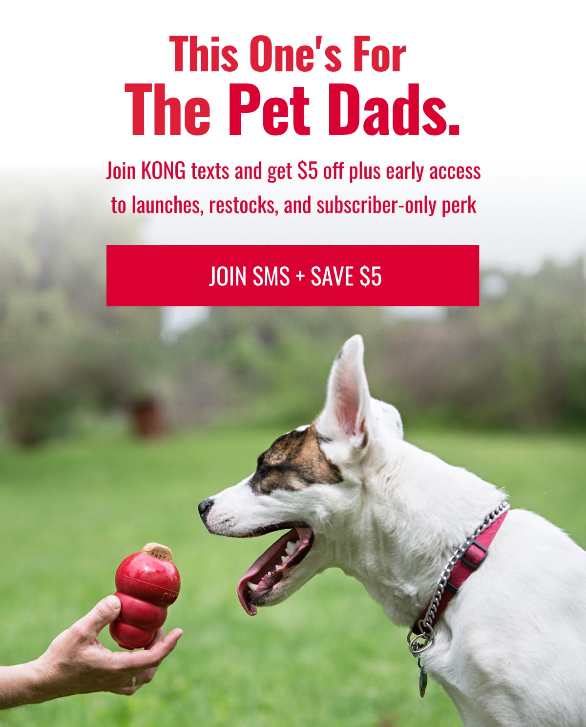 This One's for the Pet Dads.