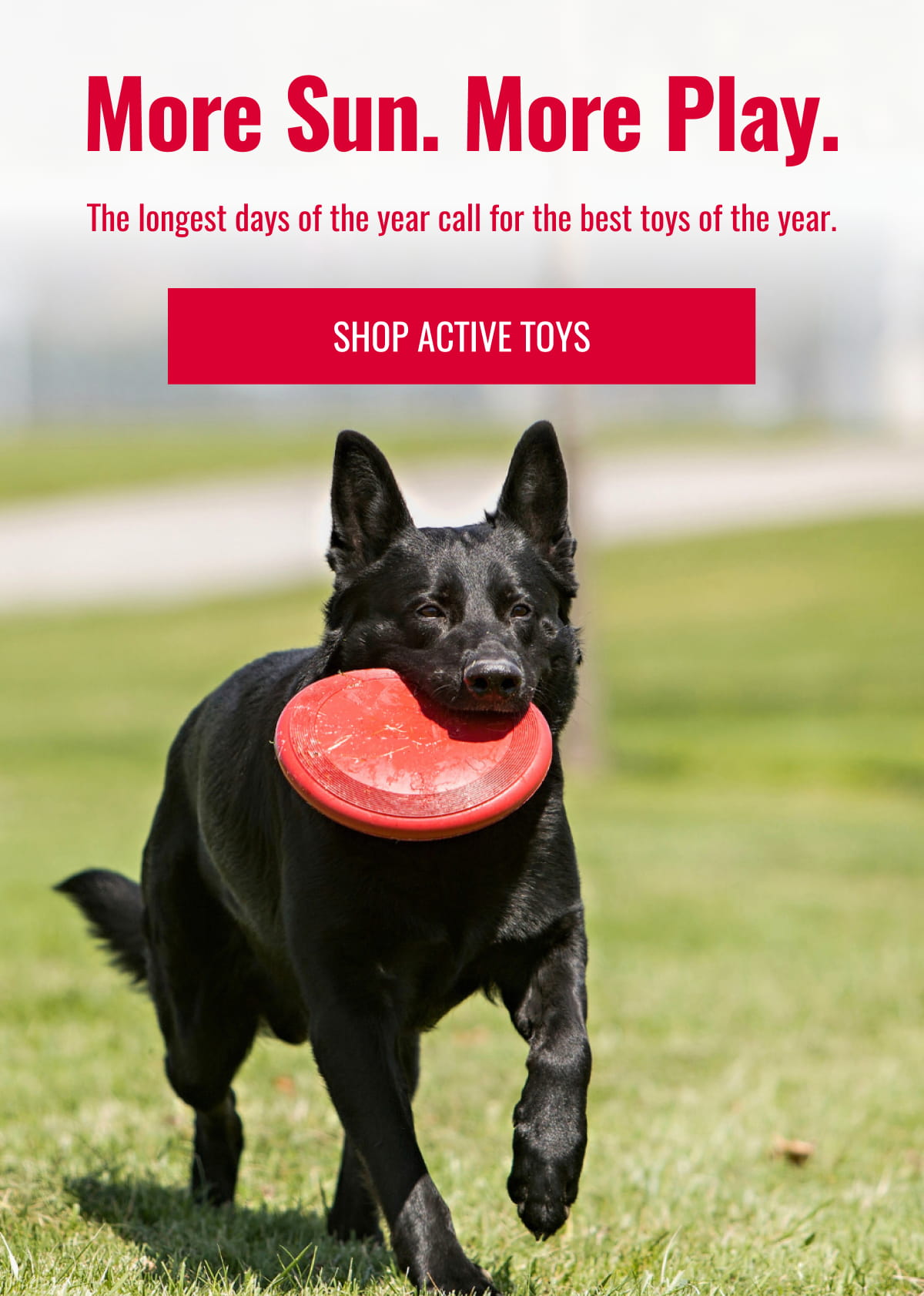 More Sun. More Play.