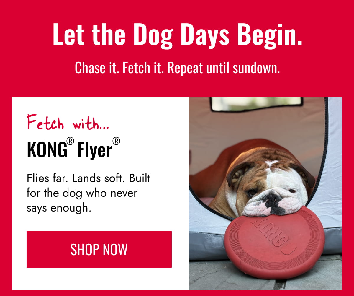 KONG® Flyer