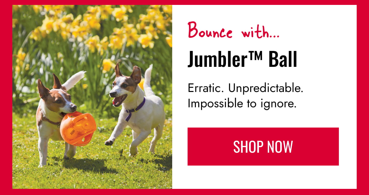 Jumbler Ball