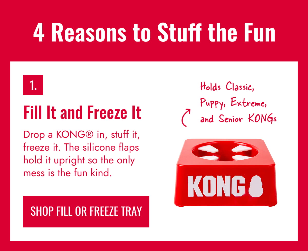 1. Fill It and Freeze It 
