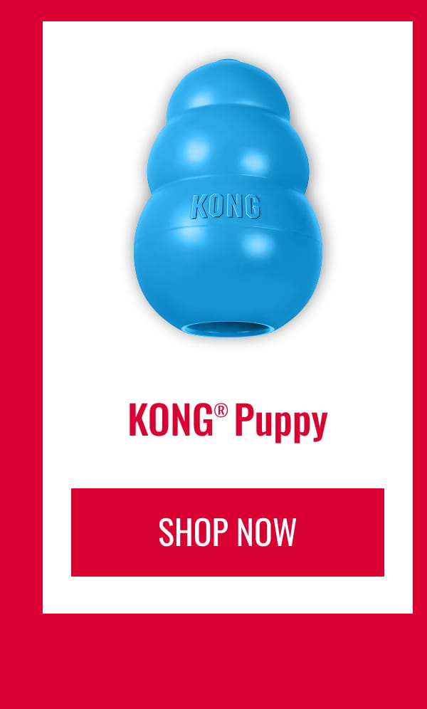 KONG Puppy