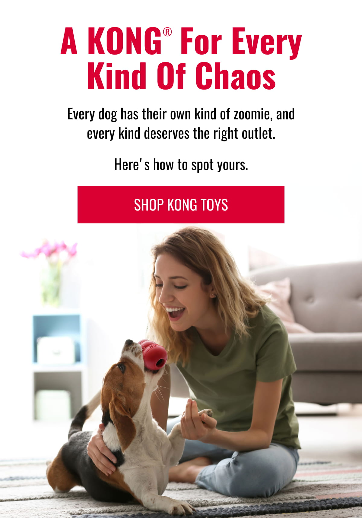 A KONG For Every Kind Of Chaos