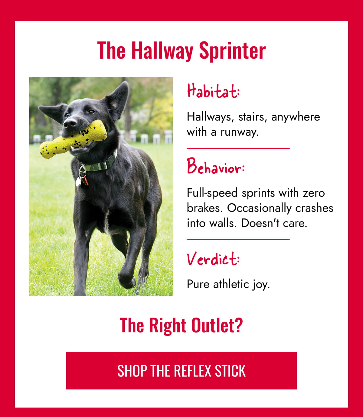 The Halfway Sprinter