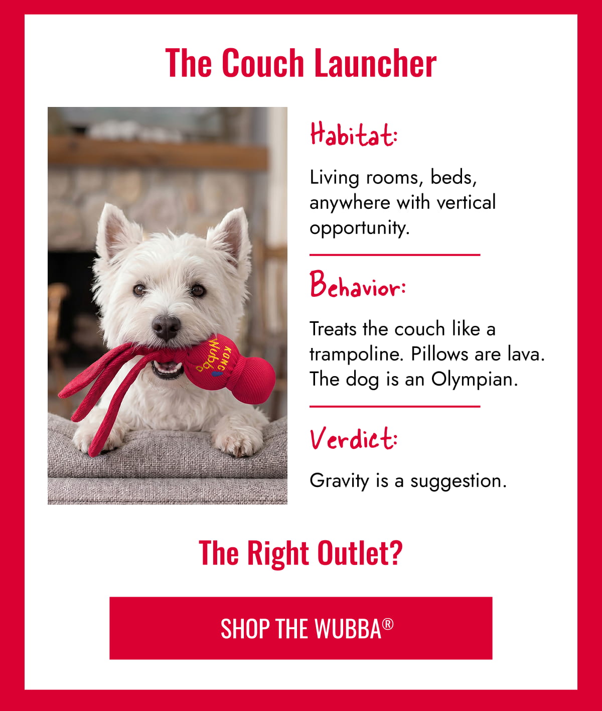The Couch Launcher