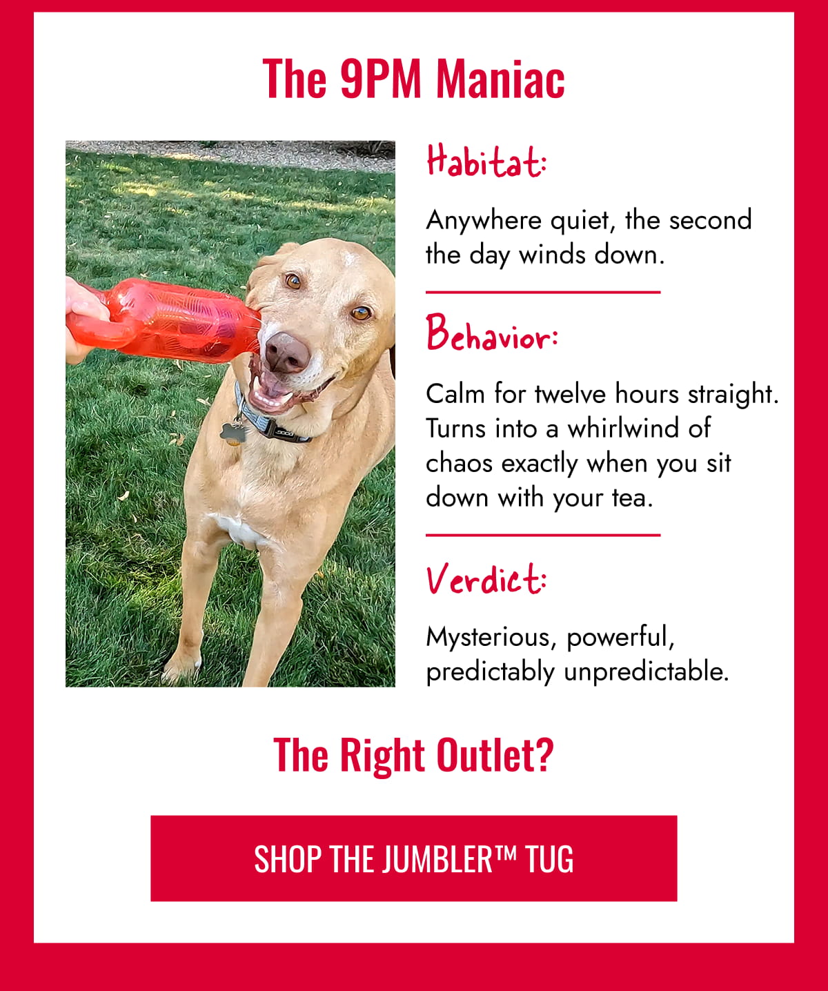 Jumbler Tug