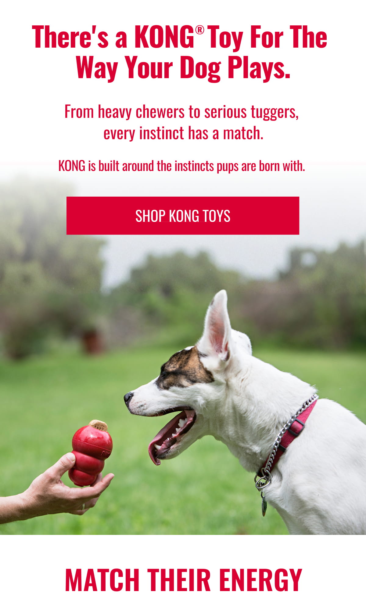 There's a KONG® Toy For The Way Your Dog Plays