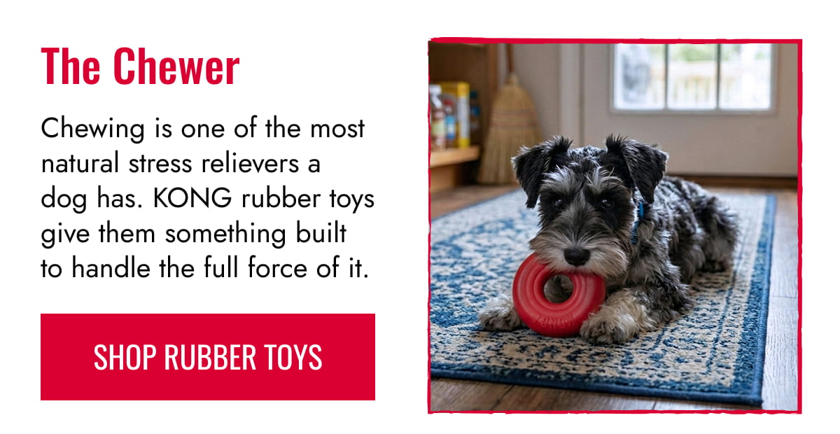 The Chewer