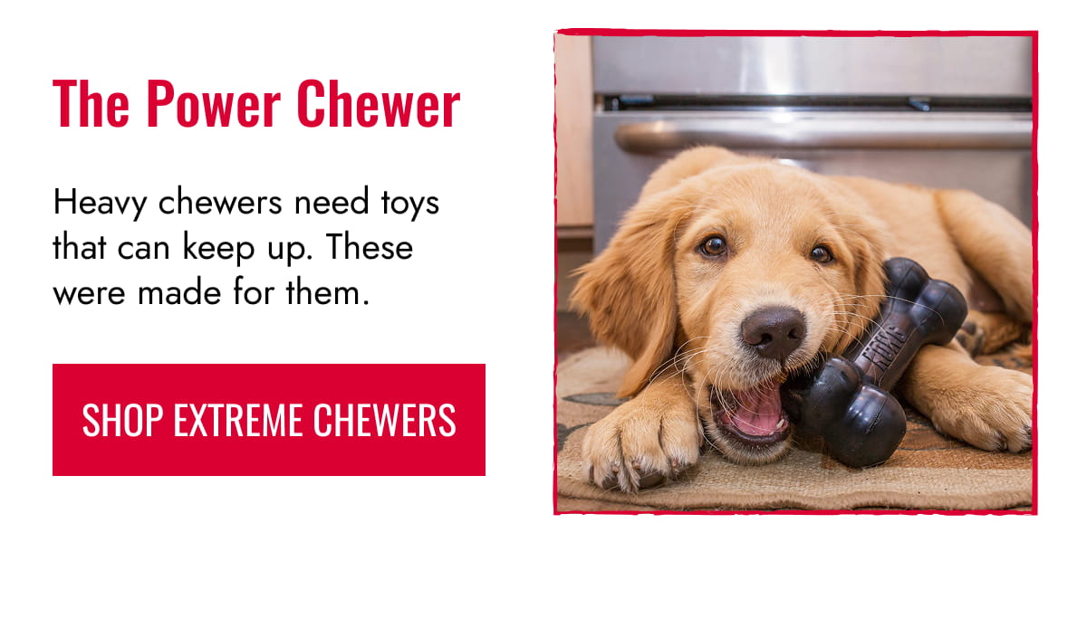 The Power Chewer