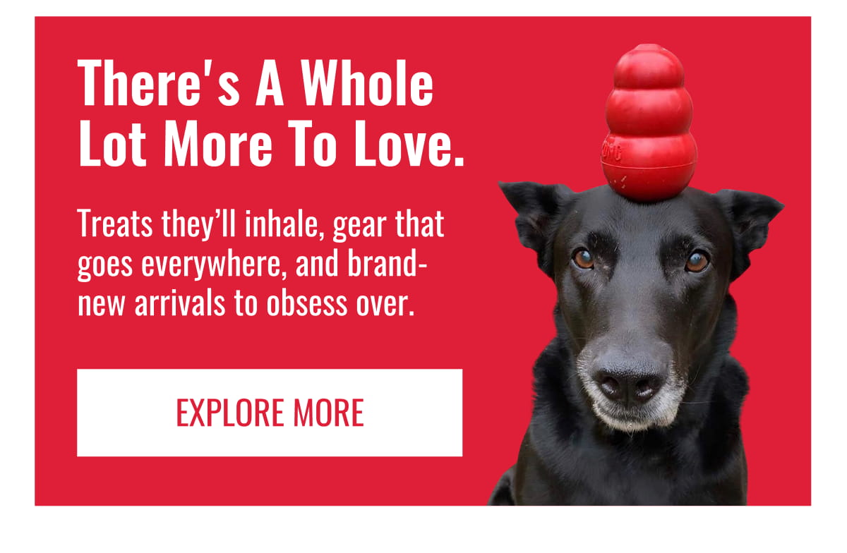 There's a whole lot more to love