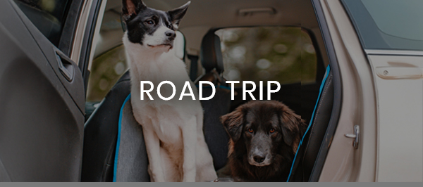 Road Trip