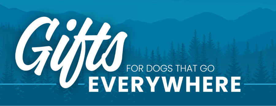 Gift for Dogs That Go Everywhere