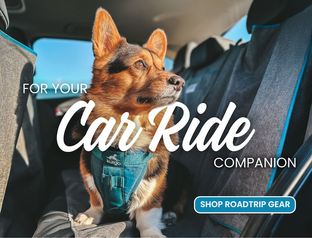 For your car ride companion, shop roadtrip gear