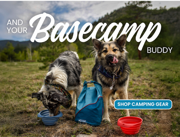 and for your basecamp buddy, shop camping gear