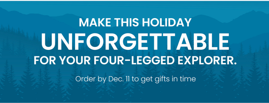 Make this holiday unforgettable - order by Dec. 11 to get gifts in time