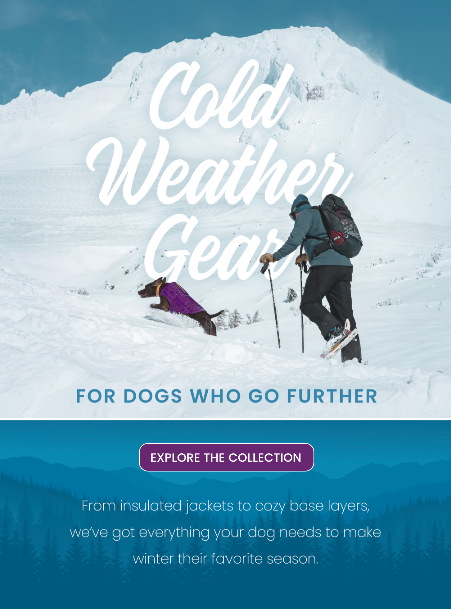Cold Weather Gear for Dogs Who Go Further