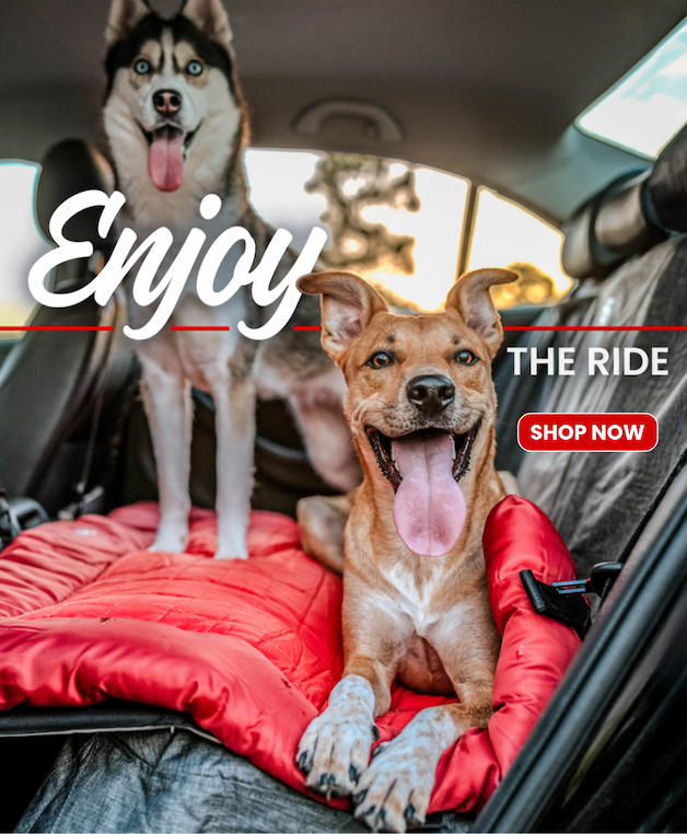 Enjoy the Ride - Shop Now