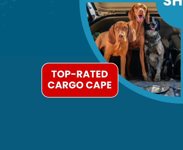 Shop Top-Rated Cargo Cape
