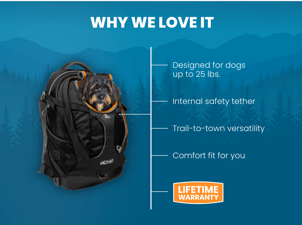 Why we love it 