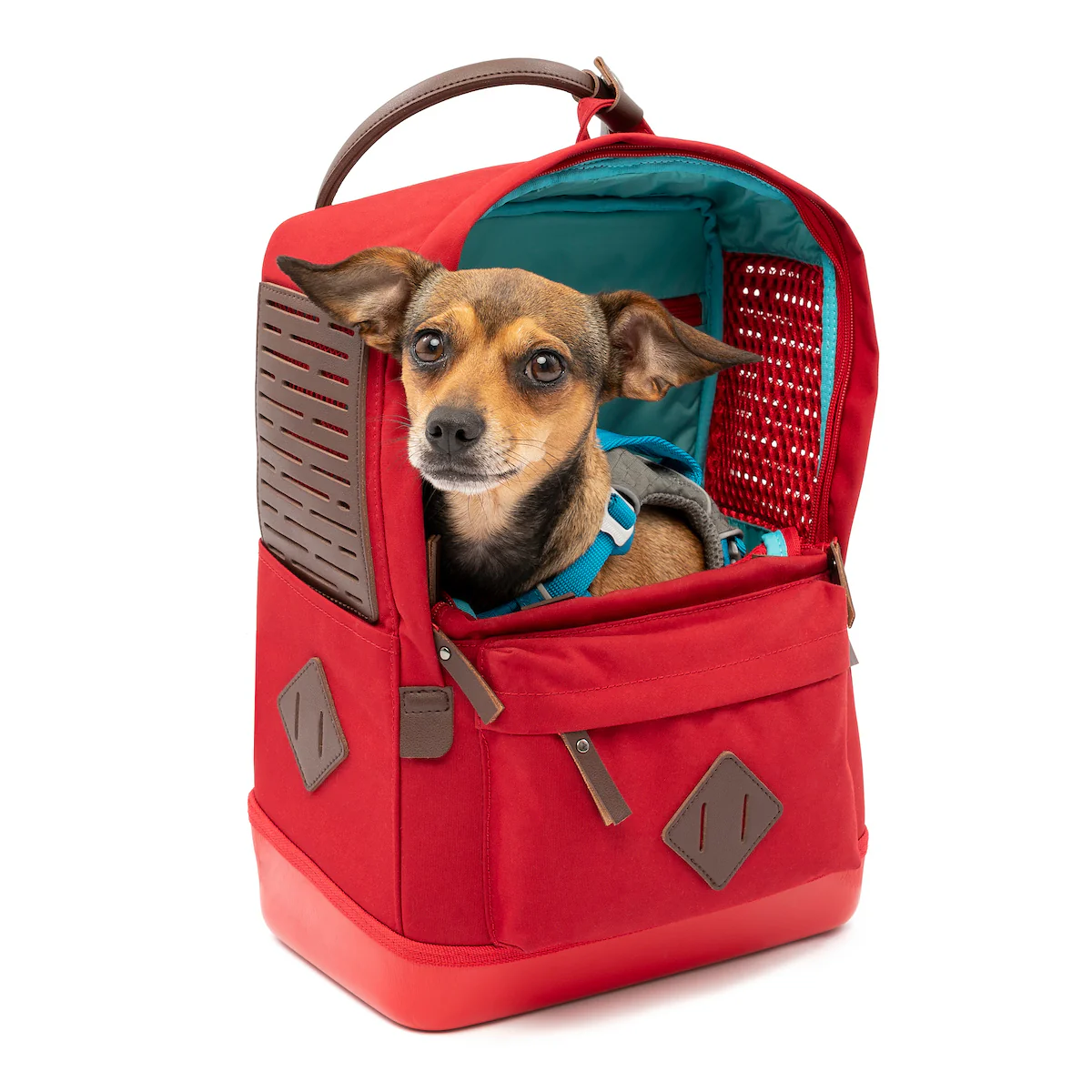 Image of Nomad Carrier Backpack