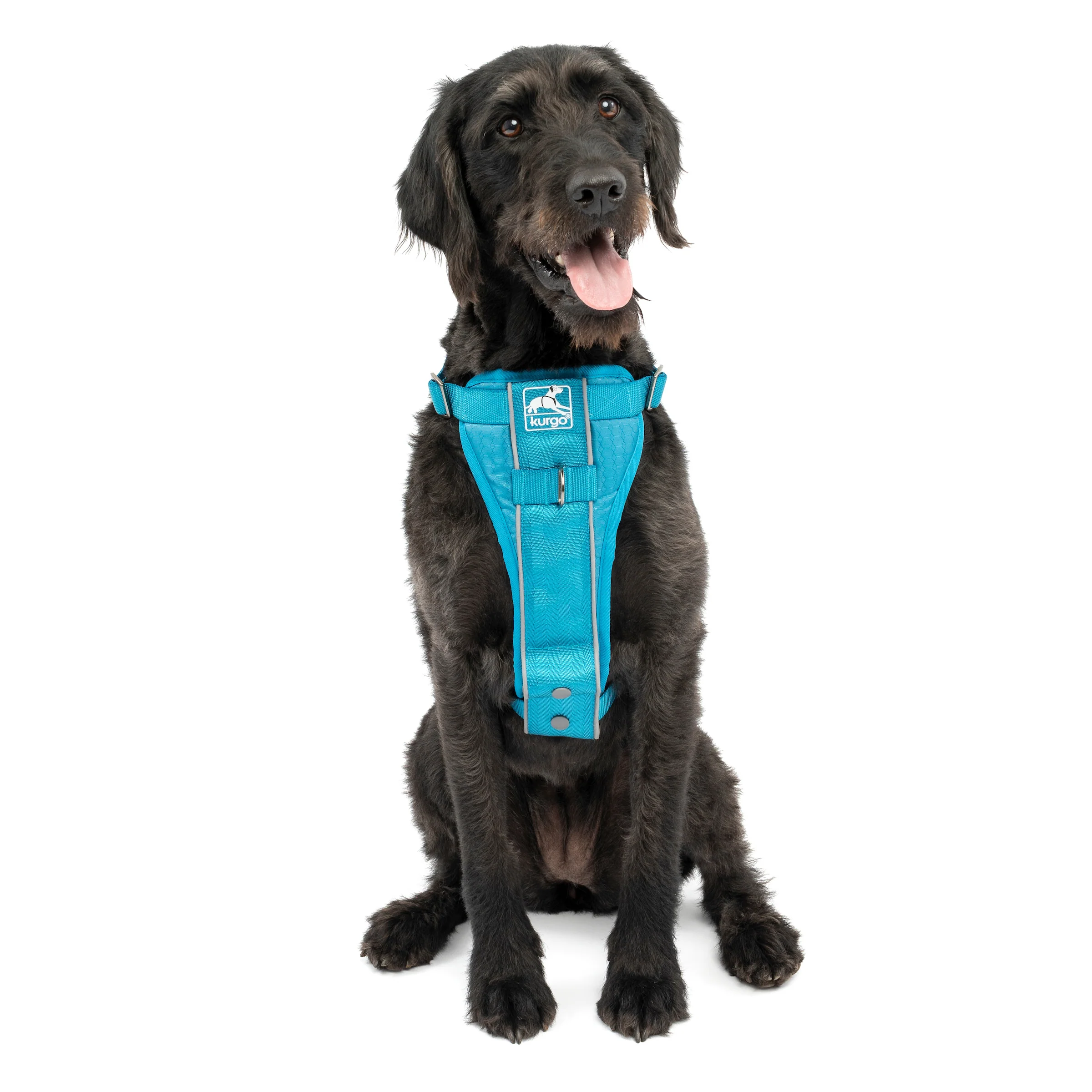 Image of Tru-Fit Smart Dog Walking Harness