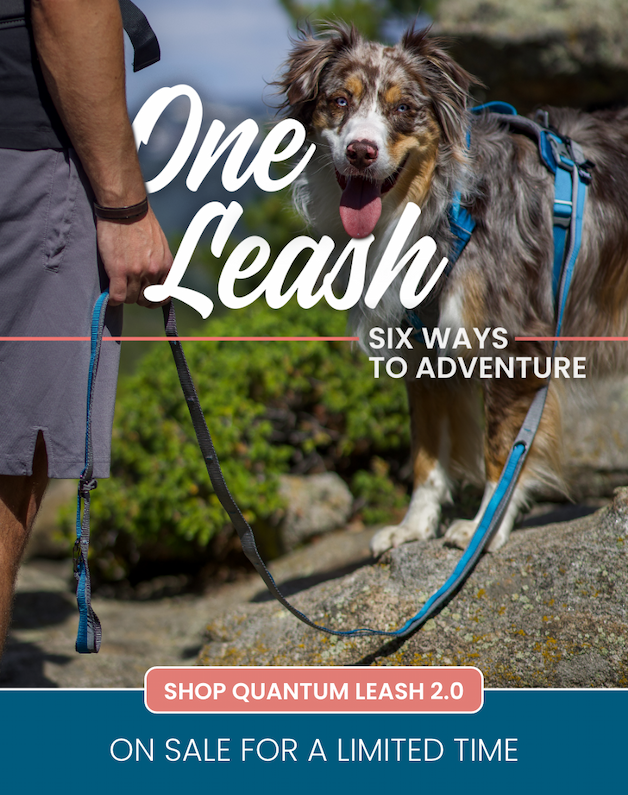 Shop Leash