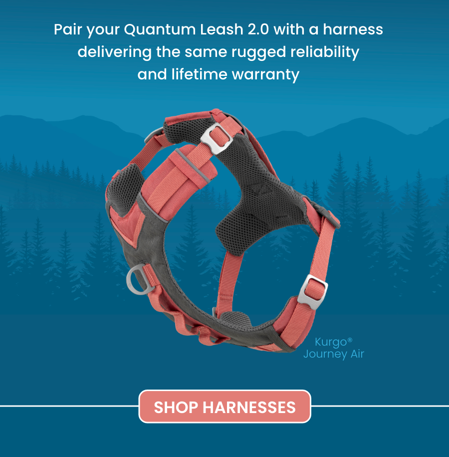 Shop Harness
